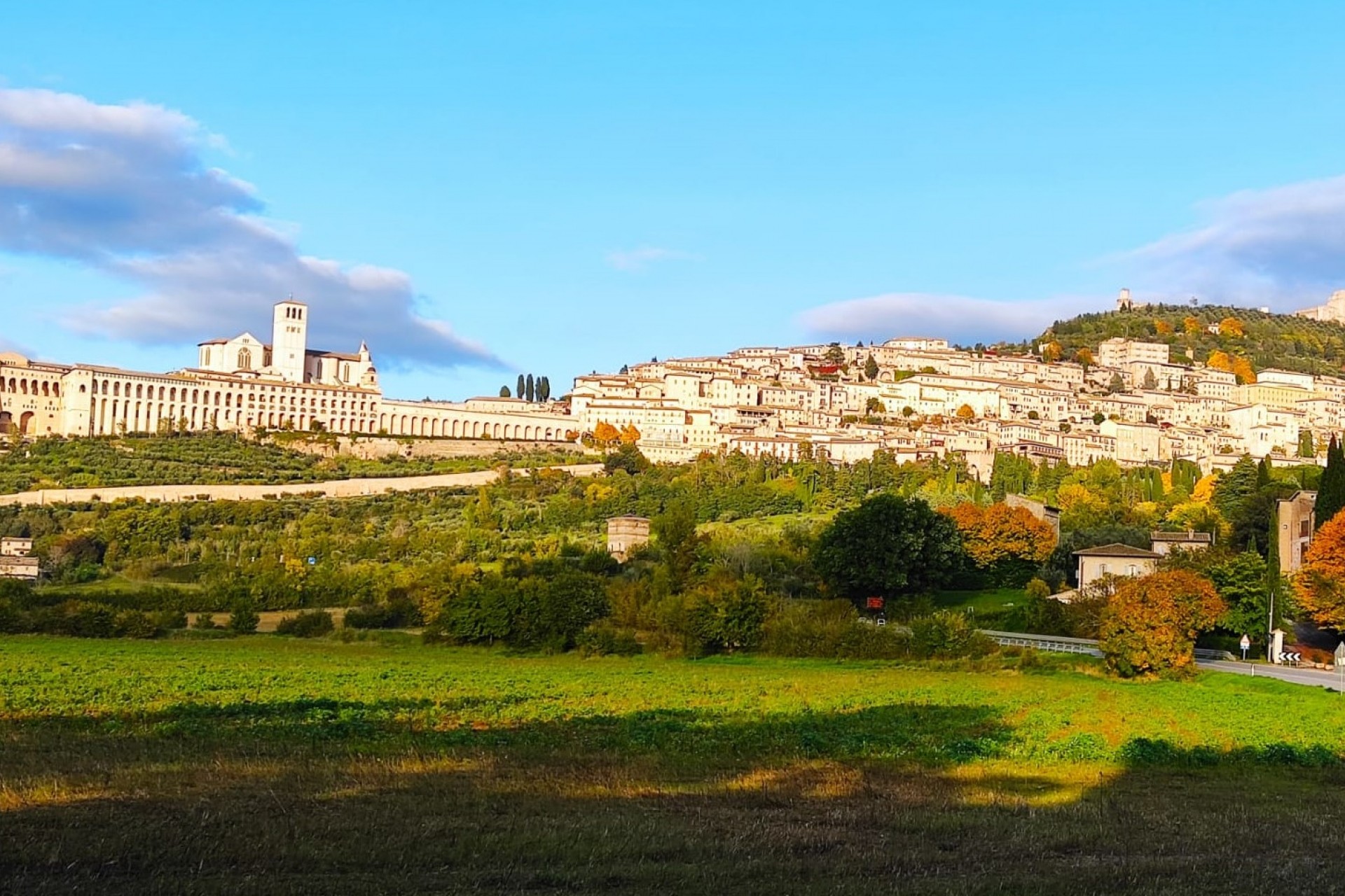Assisi la bella