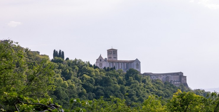 La selva e gli orti del Sacro Convento